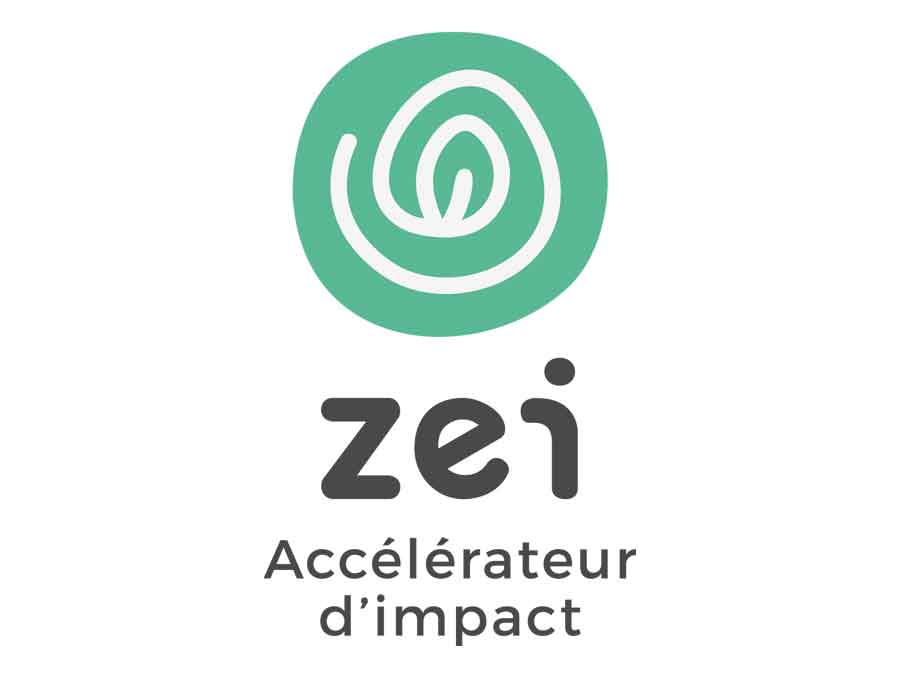 Logo Zei
